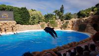 Teneriffa, Puerto de la Cruz, Loro Park
