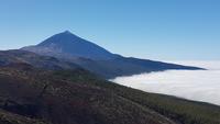 Teneriffa, Monte de la Esperanza, Blick zum Teide