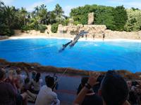 Teneriffa, Puerto de la Cruz, Loro Park