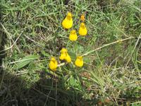 Nationalpark Torres del Paine