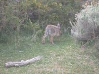Nationalpark Torres del Paine