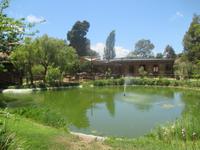 auf dem Weingut Matetic