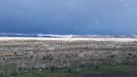 Altiplano (6)