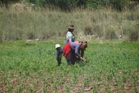 unterwegs in Peru (2)