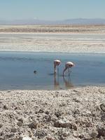 Salar de Atacama