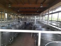 Weingut Matetic