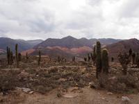 Tilcara: Pucará