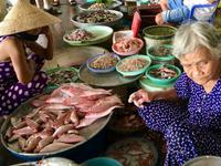 In der Halle wird auch verkauft. 