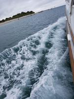 1430_Otago Peninsula