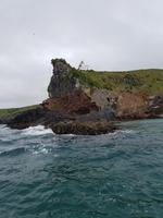 1433_Otago Peninsula