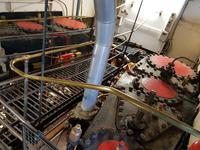 1707_Abendausflug Earnslaw.