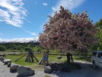 1809_Cardrona