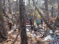 DSCN2202 dem Widbach entlang