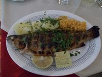 DSCN2212  die Forelle wartet