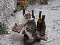 DSCN2214 alle ausgetrunken?