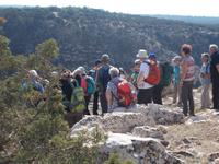 DSCN2272  Blick in die Schlucht