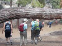 DSCN2294 da mußten wir durch