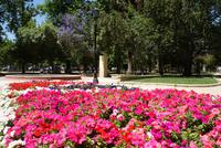 Park in Santiago