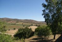 Weingut Matetic (13)