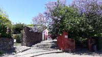 Colonia del Sacramento (3)