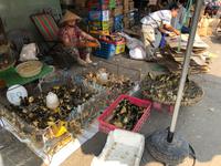 vietnamesicher Markt