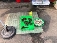 vietnamesicher Markt