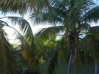 Der erste Tag in Kuba - Guardalavaca