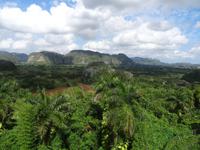 Die Mogotes im Tal von Vinales