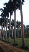 Lodhi-Park Delhi