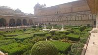 In einem der Gärten im Amber Fort