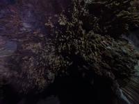 Cueva del Indio (12)