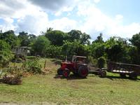 Radtour Schweinebucht (20)