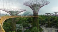 Singapur - Gardens by the Bay