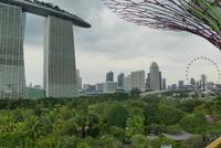Singapur - Gardens by the Bay
