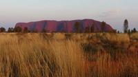 Sonnenaufgang am Uluru
