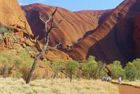 Wanderung am Uluru