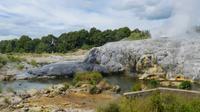 Thermalfelder von Whakarewarewa, Pohutu-Geysir