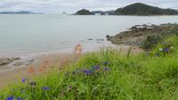 Bay of Islands
