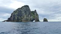 Hole in the Rock, Bay of Islands