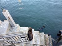 Südafrika - Wegbegleiter