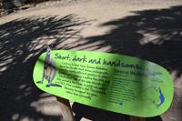 Australien Impressionen