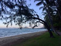Australien - Palm Cove