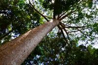 Australien Impressionen