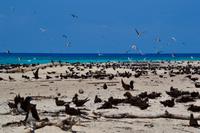 Australien - Great Barrier Reef