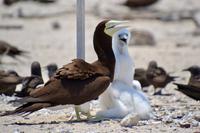 Australien Impressionen