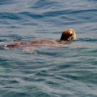 Australien - Great Barrier Reef