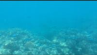 Australien - Great Barrier Reef