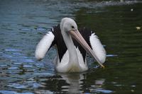 Australien Impressionen