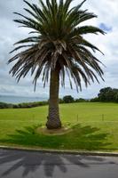 Neuseeland Impressionen