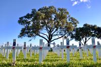 Neuseeland Impressionen